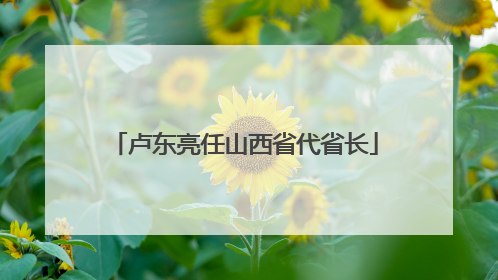 卢东亮任山西省代省长