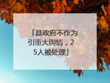 县政府不作为引重大舆情，25人被处理