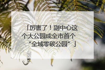 厉害了！副中心这个大公园成全市首个“全域零碳公园”