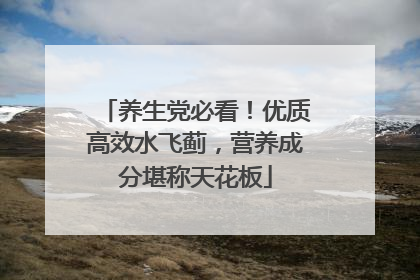 养生党必看！优质高效水飞蓟，营养成分堪称天花板