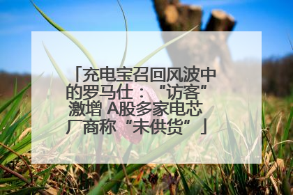 充电宝召回风波中的罗马仕：“访客”激增 A股多家电芯厂商称“未供货”