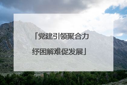 党建引领聚合力 纾困解难促发展