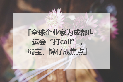 全球企业家为成都世运会“打call”，蜀宝、锦仔成焦点