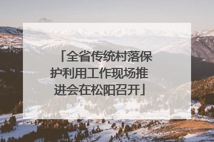 全省传统村落保护利用工作现场推进会在松阳召开