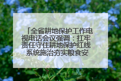 全省耕地保护工作电视电话会议强调：扛牢责任守住耕地保护红线 系统施治夯实粮食安全根基 王宁作出批示 王予波出席并讲话