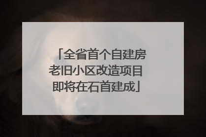 全省首个自建房老旧小区改造项目即将在石首建成