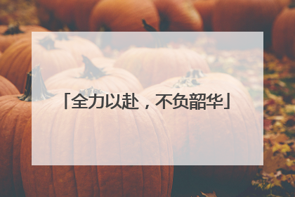 全力以赴，不负韶华