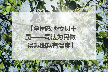 全国政协委员王昆——司法为民做得越细越有温度