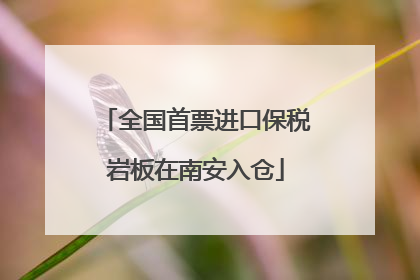 全国首票进口保税岩板在南安入仓