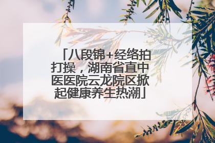 八段锦+经络拍打操，湖南省直中医医院云龙院区掀起健康养生热潮