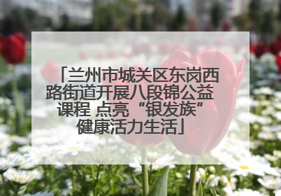兰州市城关区东岗西路街道开展八段锦公益课程 点亮“银发族”健康活力生活