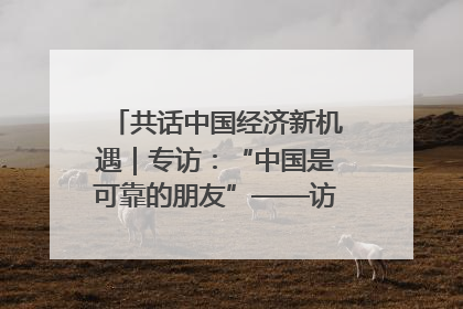 共话中国经济新机遇｜专访：“中国是可靠的朋友”——访马来西亚种植及原产业部副部长陈泓缣