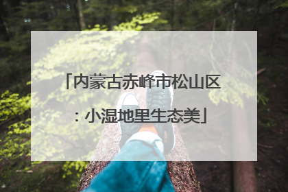 内蒙古赤峰市松山区：小湿地里生态美