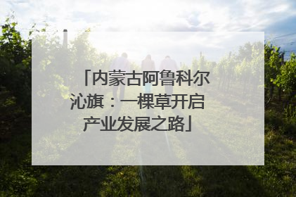内蒙古阿鲁科尔沁旗：一棵草开启产业发展之路