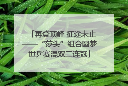 再登顶峰 征途未止——“莎头”组合圆梦世乒赛混双三连冠