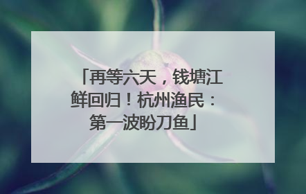 再等六天，钱塘江鲜回归！杭州渔民：第一波盼刀鱼