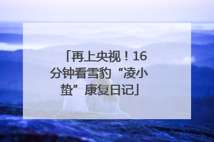 再上央视！16分钟看雪豹“凌小蛰”康复日记