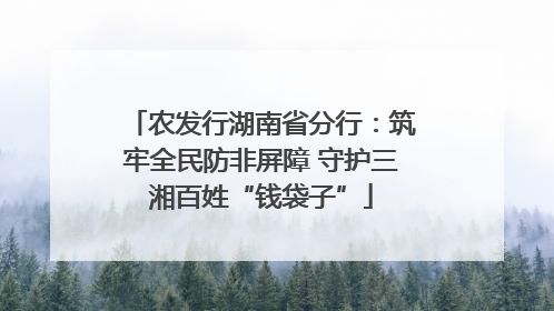 农发行湖南省分行：筑牢全民防非屏障 守护三湘百姓“钱袋子”