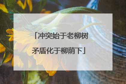 冲突始于老柳树 矛盾化于柳荫下
