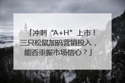 冲刺“A+H”上市！三只松鼠加码营销投入，能否重振市场信心？