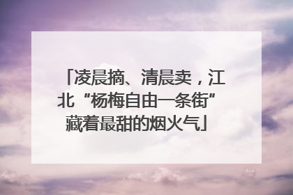凌晨摘、清晨卖，江北“杨梅自由一条街”藏着最甜的烟火气