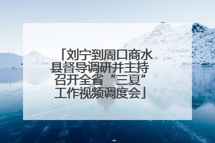 刘宁到周口商水县督导调研并主持召开全省“三夏”工作视频调度会