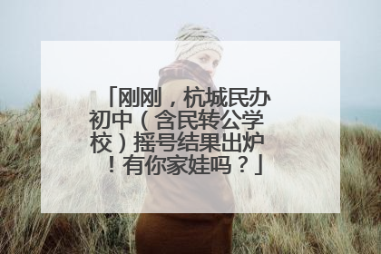 刚刚，杭城民办初中（含民转公学校）摇号结果出炉！有你家娃吗？