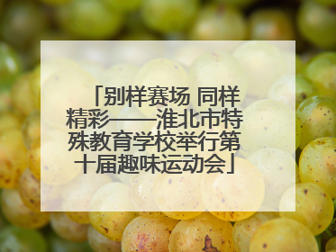 别样赛场 同样精彩——淮北市特殊教育学校举行第十届趣味运动会