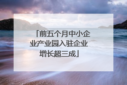 前五个月中小企业产业园入驻企业增长超三成