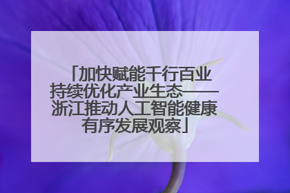 加快赋能千行百业 持续优化产业生态——浙江推动人工智能健康有序发展观察