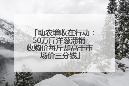 助农增收在行动：50万斤洋葱滞销 收购价每斤却高于市场价三分钱