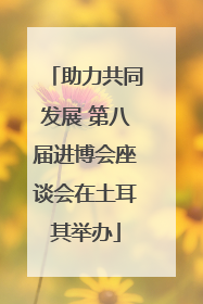 助力共同发展 第八届进博会座谈会在土耳其举办