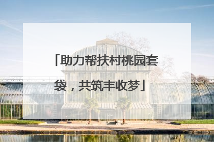 助力帮扶村桃园套袋，共筑丰收梦