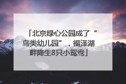 北京绿心公园成了“鸟类幼儿园”，福泽湖畔降生8只小鸳鸯