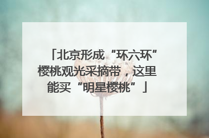 北京形成“环六环”樱桃观光采摘带，这里能买“明星樱桃”
