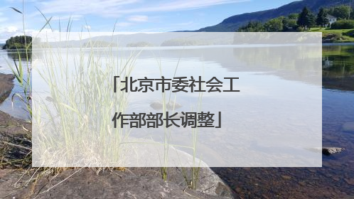北京市委社会工作部部长调整