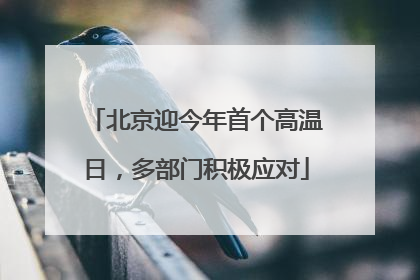 北京迎今年首个高温日，多部门积极应对