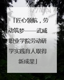 匠心领航，劳动筑梦——武威职业学院劳动研学实践育人取得新成果