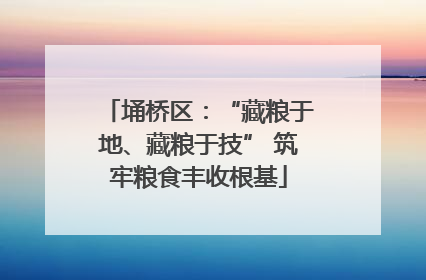 埇桥区：“藏粮于地、藏粮于技” 筑牢粮食丰收根基