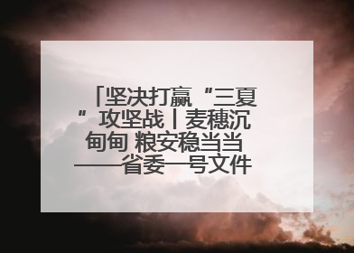 坚决打赢“三夏”攻坚战丨麦穗沉甸甸 粮安稳当当——省委一号文件系列解读①