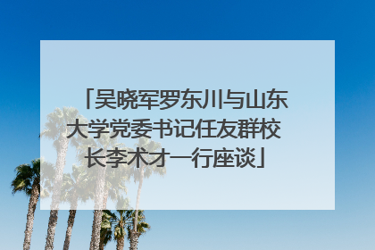 吴晓军罗东川与山东大学党委书记任友群校长李术才一行座谈
