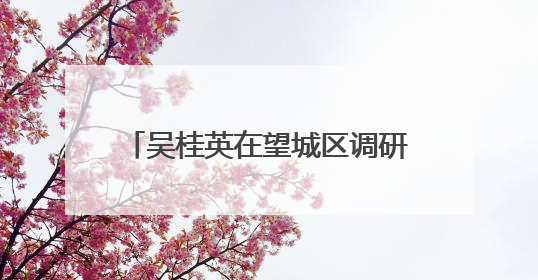 吴桂英在望城区调研大泽湖片区建设、文科旅医融合发展等工作