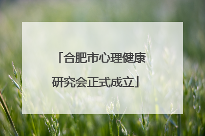 合肥市心理健康研究会正式成立