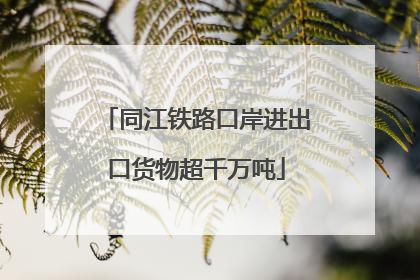 同江铁路口岸进出口货物超千万吨