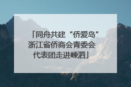 同舟共建“侨爱岛” 浙江省侨商会青委会代表团走进嵊泗