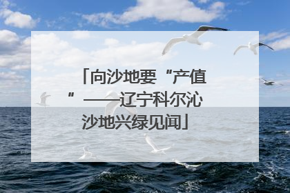 向沙地要“产值”——辽宁科尔沁沙地兴绿见闻