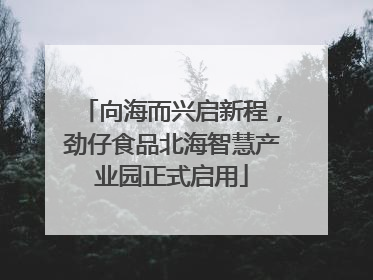 向海而兴启新程，劲仔食品北海智慧产业园正式启用