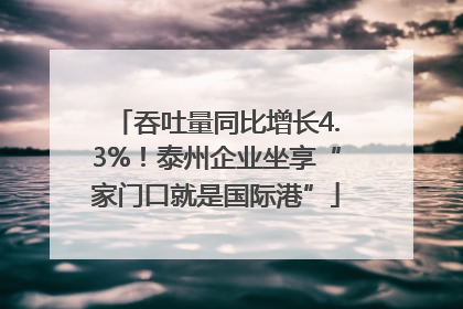 吞吐量同比增长4.3%！泰州企业坐享“家门口就是国际港”