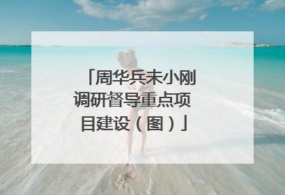 周华兵未小刚调研督导重点项目建设（图）