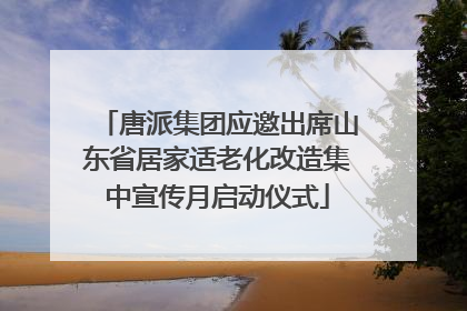 唐派集团应邀出席山东省居家适老化改造集中宣传月启动仪式